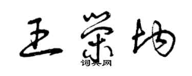 曾庆福王荣均草书个性签名怎么写