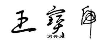 曾庆福王宝虎草书个性签名怎么写