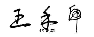 曾庆福王禾虎草书个性签名怎么写