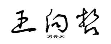 曾庆福王向哲草书个性签名怎么写