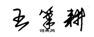 朱锡荣王笔耕草书个性签名怎么写