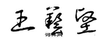 曾庆福王艺坚草书个性签名怎么写