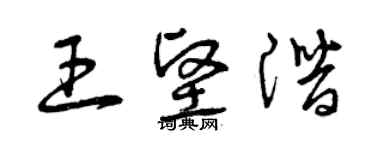 曾庆福王坚潜草书个性签名怎么写