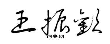 曾庆福王振欢草书个性签名怎么写