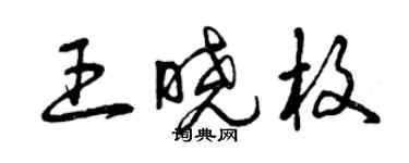 曾庆福王晓枚草书个性签名怎么写