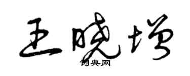曾庆福王晓增草书个性签名怎么写