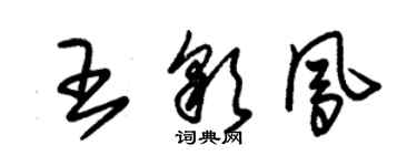 朱锡荣王彩凤草书个性签名怎么写