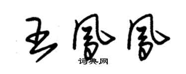 朱锡荣王凤凤草书个性签名怎么写