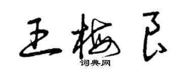 曾庆福王梅良草书个性签名怎么写