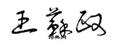 曾庆福王苏政草书个性签名怎么写