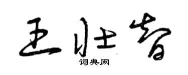 曾庆福王壮智草书个性签名怎么写