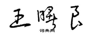 曾庆福王曙良草书个性签名怎么写