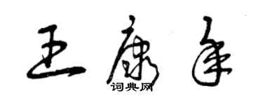 曾庆福王康年草书个性签名怎么写