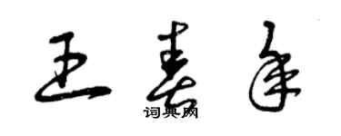 曾庆福王春年草书个性签名怎么写