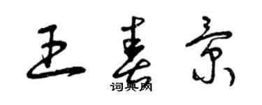 曾庆福王春景草书个性签名怎么写