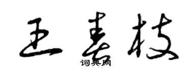 曾庆福王春枝草书个性签名怎么写