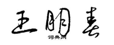 曾庆福王朋春草书个性签名怎么写