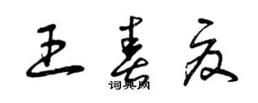曾庆福王春夏草书个性签名怎么写