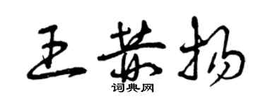 曾庆福王赫扬草书个性签名怎么写