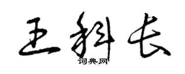 曾庆福王科长草书个性签名怎么写