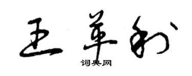 曾庆福王革利草书个性签名怎么写
