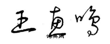 曾庆福王惠鸣草书个性签名怎么写
