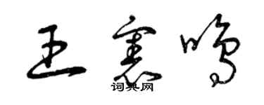 曾庆福王宪鸣草书个性签名怎么写
