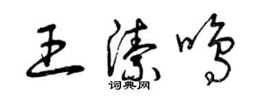 曾庆福王洁鸣草书个性签名怎么写