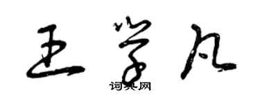 曾庆福王学凡草书个性签名怎么写