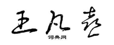 曾庆福王凡喜草书个性签名怎么写