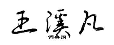 曾庆福王溪凡草书个性签名怎么写