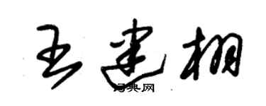 朱锡荣王建栩草书个性签名怎么写