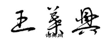曾庆福王叶兴草书个性签名怎么写