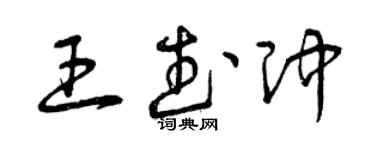曾庆福王武冲草书个性签名怎么写