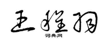 曾庆福王程羽草书个性签名怎么写