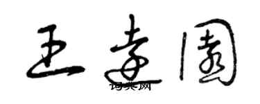 曾庆福王远园草书个性签名怎么写