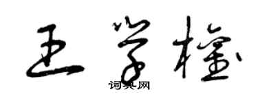曾庆福王学权草书个性签名怎么写