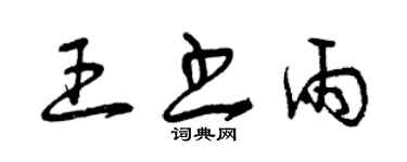曾庆福王书雨草书个性签名怎么写