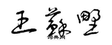 曾庆福王苏野草书个性签名怎么写
