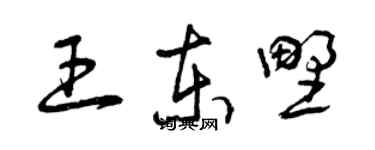 曾庆福王东野草书个性签名怎么写