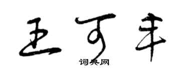 曾庆福王可丰草书个性签名怎么写