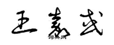 曾庆福王嘉或草书个性签名怎么写