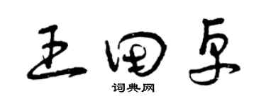 曾庆福王田卓草书个性签名怎么写