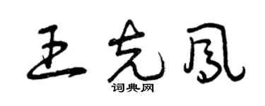 曾庆福王克凤草书个性签名怎么写