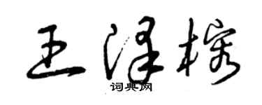 曾庆福王泽榕草书个性签名怎么写