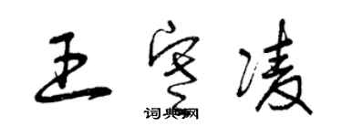 曾庆福王寒凌草书个性签名怎么写