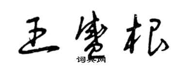 曾庆福王盛根草书个性签名怎么写
