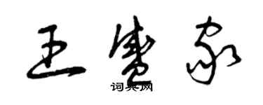 曾庆福王盛家草书个性签名怎么写
