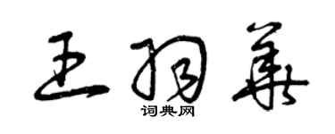 曾庆福王羽华草书个性签名怎么写