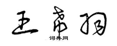 曾庆福王希羽草书个性签名怎么写